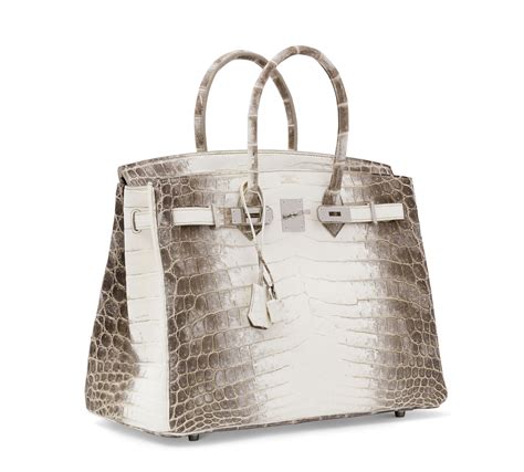 himalaya niloticus crocodile Birkin 35